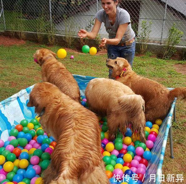 疗养院是干什么的