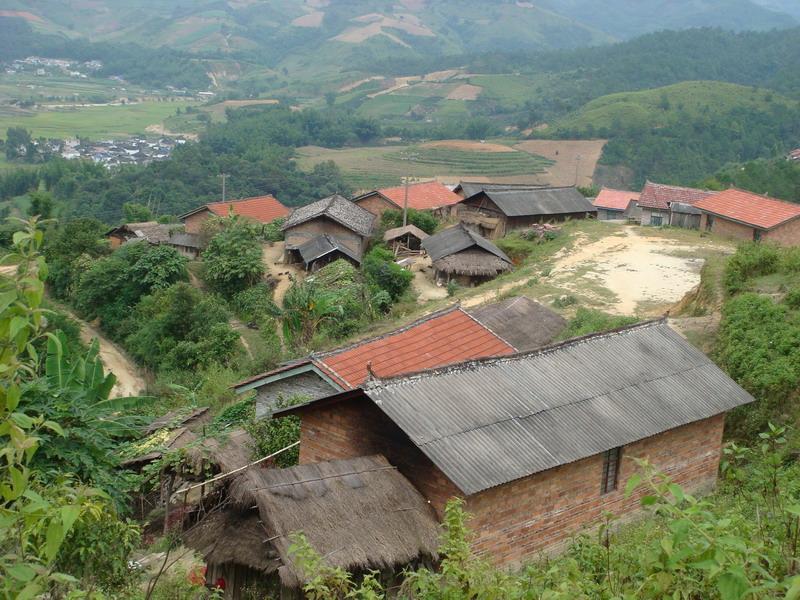 村情概况 东中村隶属于勐朗镇勐滨行政村,属于山区.