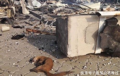 北京交通大学爆炸已造成3名学生死亡!死状惨烈