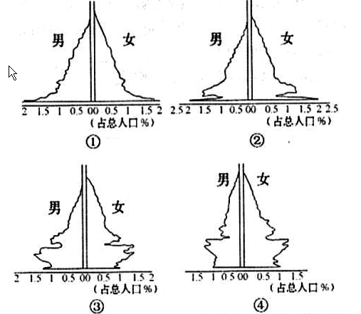 人口金字塔图的判读_人口金字塔