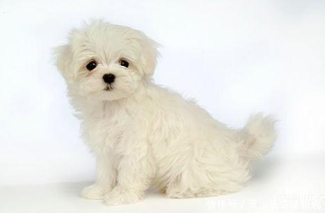 变态印度男杀怀孕母狗 与友人轮流发生关系