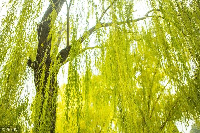 皇帝死叫驾崩,和尚死叫圆寂,仇人死叫什么?