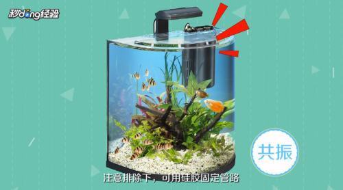 海洋館魚缸動物保護（海洋館魚缸動物保護措施）