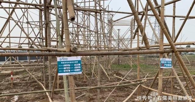 独家图集| 探访特斯拉上海超级工厂,感受中国基