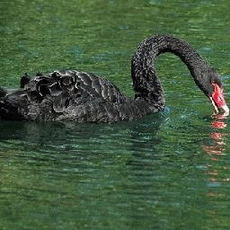 小米MIX2SAI相机智能翻译菜单,出国游玩再也