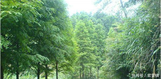 带城里女友回老家过年,见面对我妈说第一句话