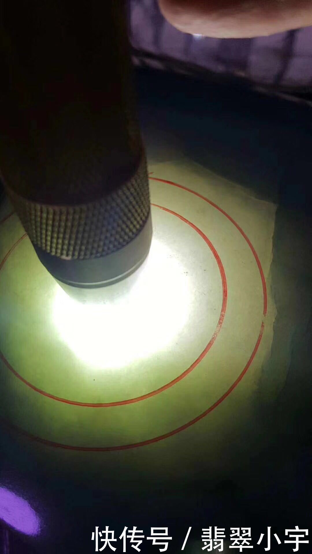 翡翠不怕没有色,就怕没有种