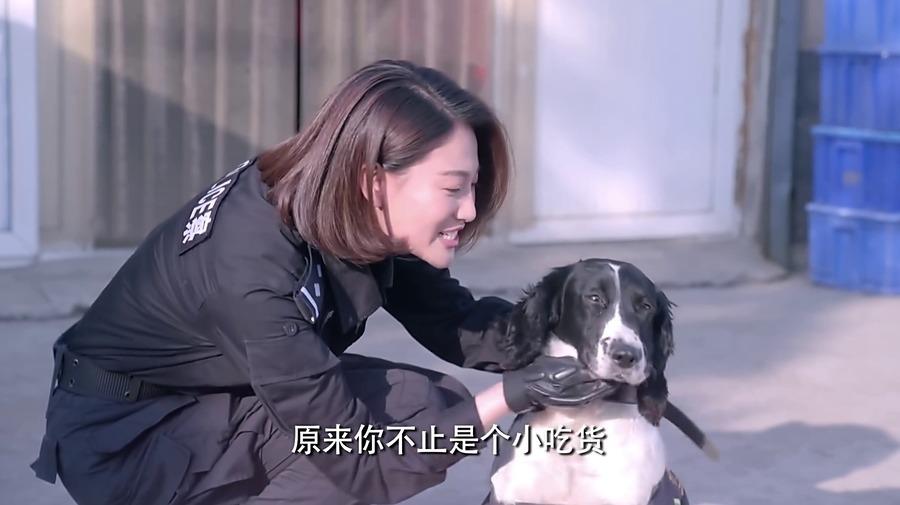 侯梦莎与犬共舞 警花与警犬飚戏火花四溅