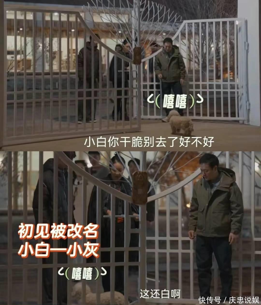 平反了！那英现身《灿烂的花园》：与张颂文极限拉扯，被赞太可爱 - 360娱乐，你开心就好