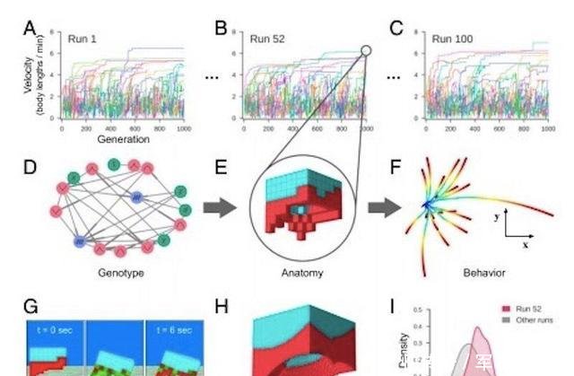 活体可编程机器人