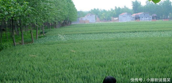 老人每半月肚子痛一次,儿女带去医院检查,医生