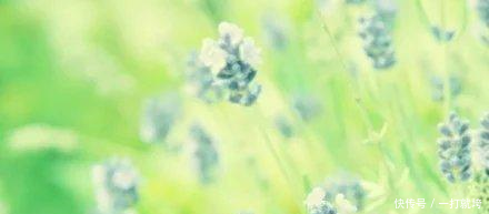 一厘米的阳光经典语录倘若我能活到那么久,就