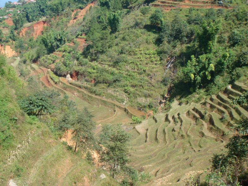 村情概况 南滇村隶属澜沧县富东乡,地处富东乡东边,距富东乡政府所在