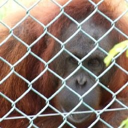 世界杯巴西VS法国国歌仪式