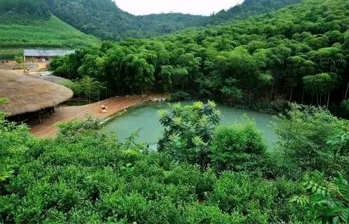 重磅!农村集体土地无须经国家征地即可进入市场，租赁住房、共享