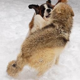 独家专访《热血街舞团》昂昂: 为了宋茜给我缝