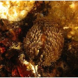 刺激战场新版本第一人称灵敏度+设置!最新最全