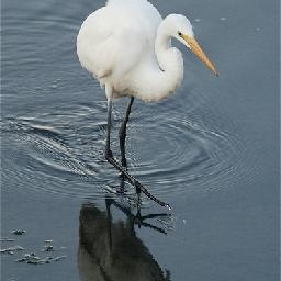 闽南语歌曲《阿郎》再见阿郎主题曲经典的台湾