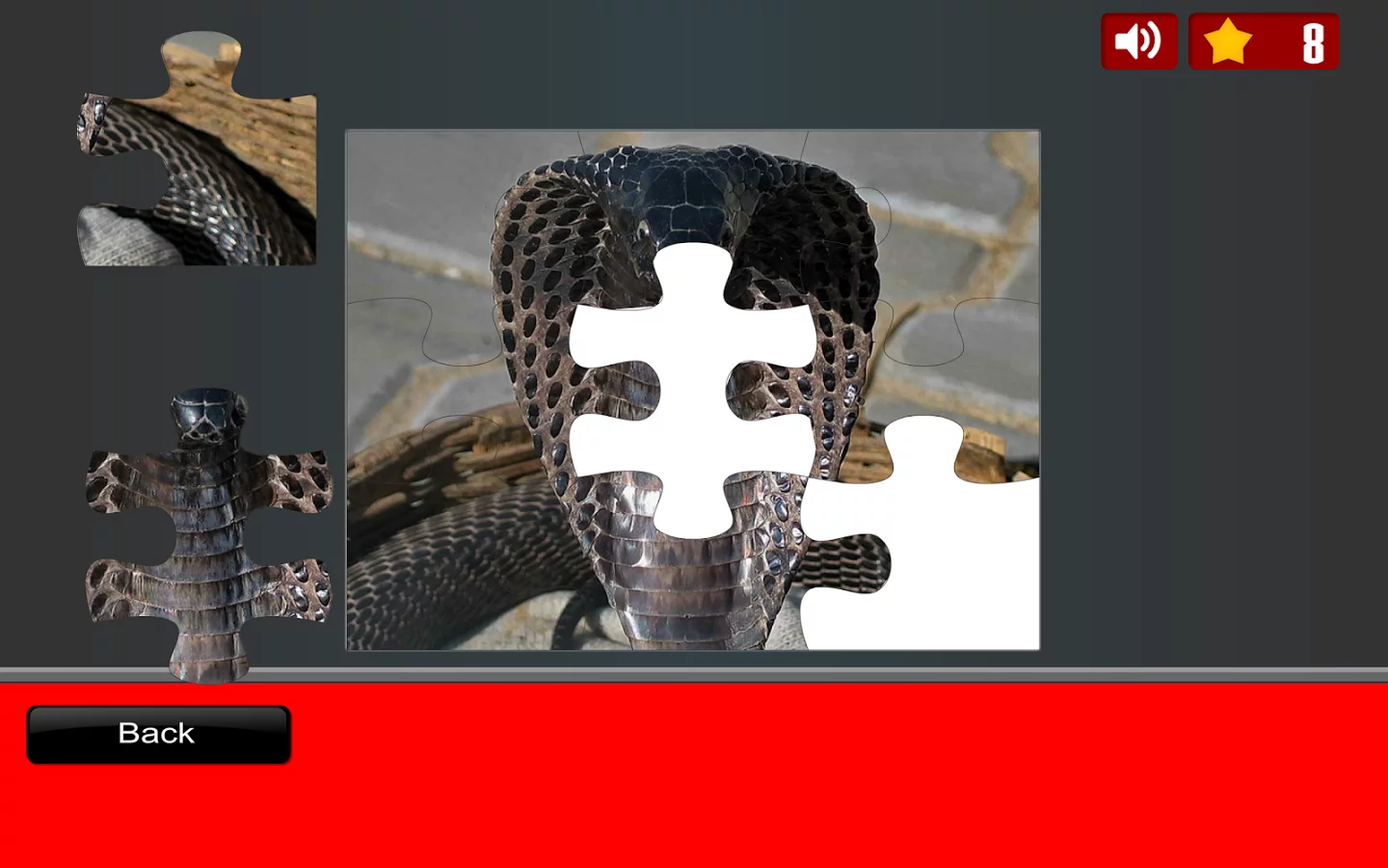 Snake Jigsaw Puzzles截图2