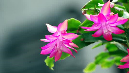 t01e4f23c82ad4e930e.jpg?size=500x281