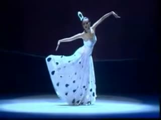 民族舞舞蹈教学视频 孔雀舞peacock dance