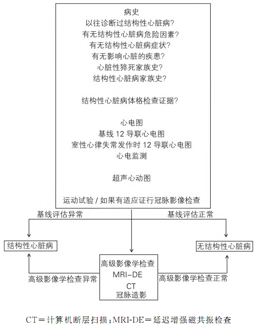 \＂披着狼皮\＂的室速:通过一个病例搞定诊疗流程