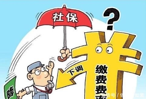 社保缴费个人