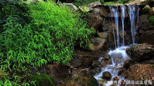 7月28日开始,业精财旺的,福禄全开,大吉大利赚