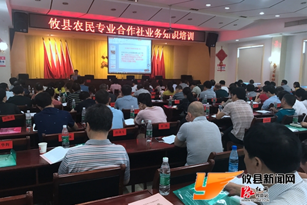 攸县:推进农村集体产权制度改革 激活20亿元"沉睡"资产