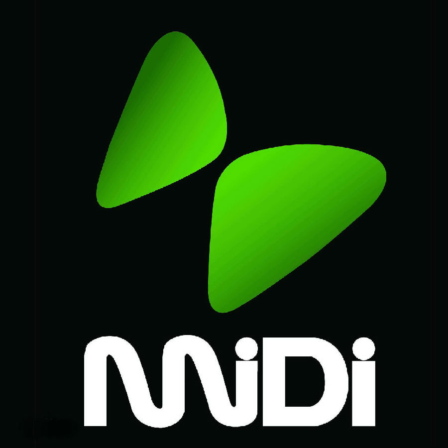 迷笛音乐节图片