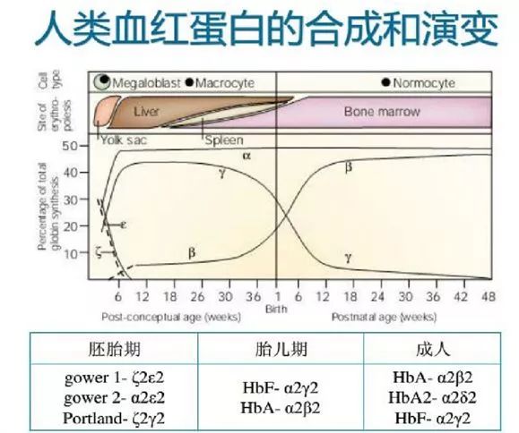 糖化血红蛋白为0，这个结果竟然是对的!