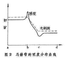 马赫带