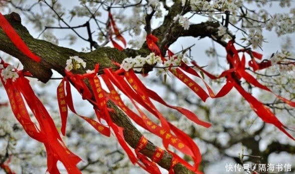 春季踏青 五一出游好去处 长春莲花山邀您共赏