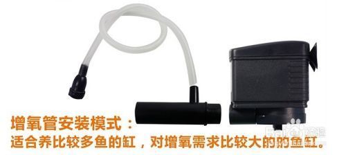 日照魚缸售后維護(hù)電話號(hào)碼