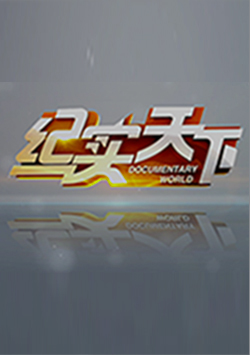 纪实天下 海报