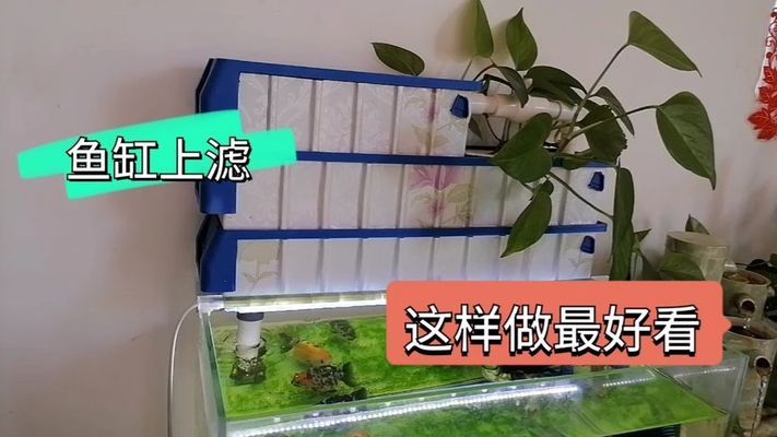 白城市觀瀾觀賞魚店 全國水族館企業(yè)名錄