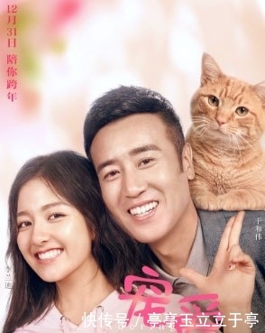 电影宠爱票房怎么样