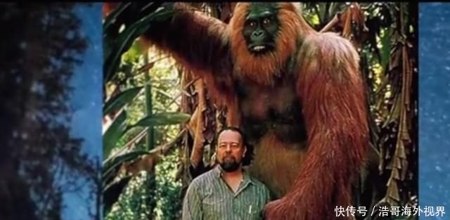 野兽金刚真的存在吗?非洲身高3米的巨型猩猩
