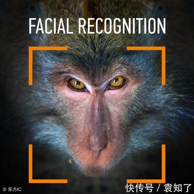 人脸识别技术来了!有案底的同志请注意,您已被