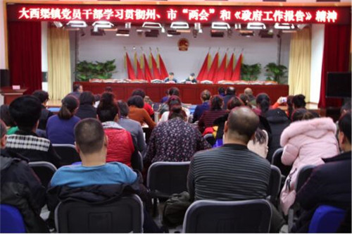 昌吉市大西渠镇党员干部学习贯彻州、市两会