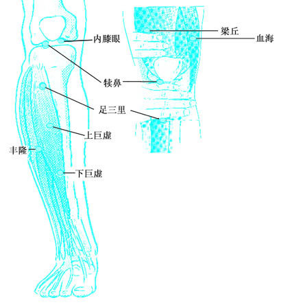 梁丘穴