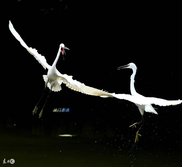 供养阴牌会不会特别麻烦?阴牌会有反噬吗?我