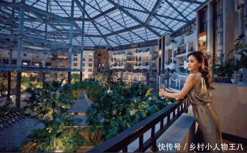 粤港澳大湾区董事局主席