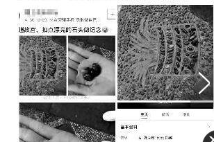 游客抠走故宫石子晒照 解释:维修工人赠送