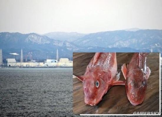 日本福岛民众担心核辐射不敢吃鱼不知道被辐射到什么程度