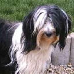 街拍北京120救护车出警(救护长音)