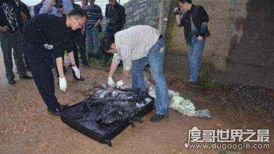 中国大案纪实-刁爱青碎尸案