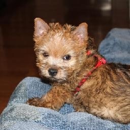 时尚小女生换装之漂亮的小姑娘是谁呢女生公主