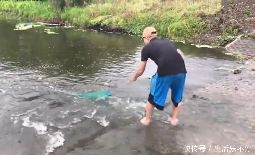 撒网得到几条鱼，发现一条鱼的嘴里吐出小鱼仔，好神奇，赶紧放生