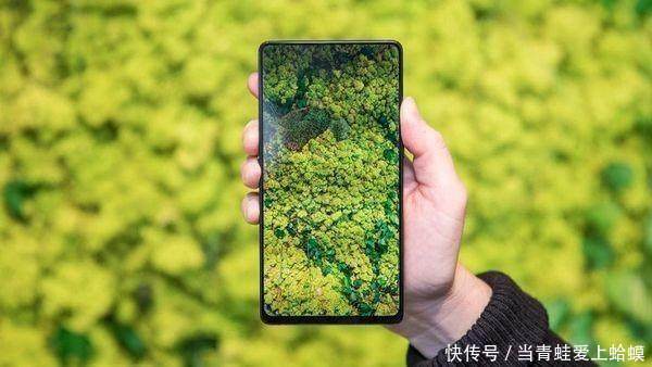 IDC公布国内一季度手机销量排行:华为、vivo领